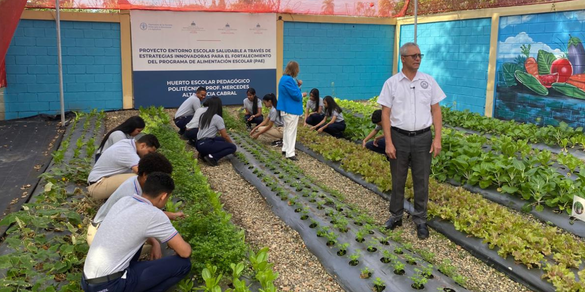  imagen Huertos escolares&nbsp; 