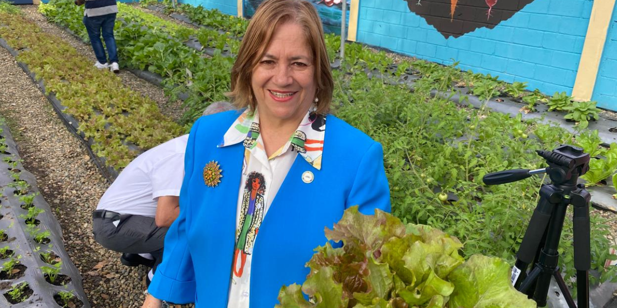  imagen Huertos escolares&nbsp; 