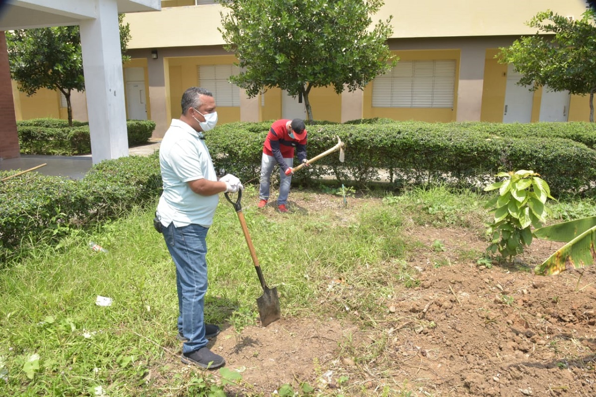  imagen Personal del MINERD trabaja en huertos escolares 