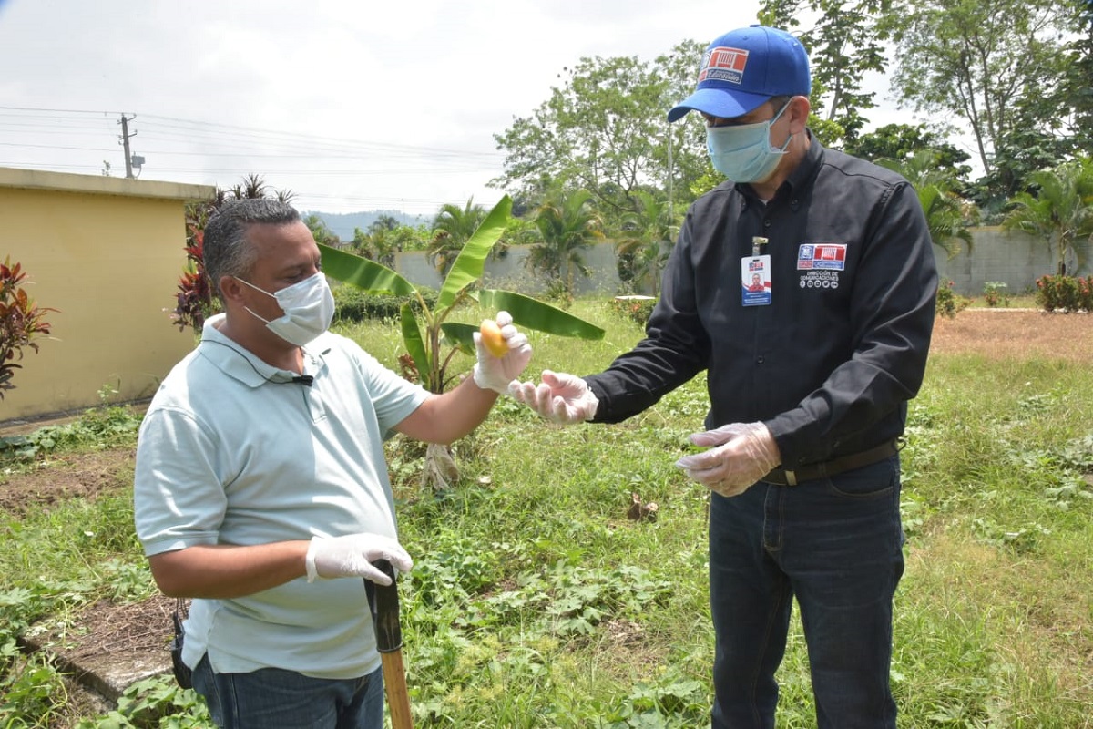  imagen Personal del MINERD trabaja en huertos escolares 