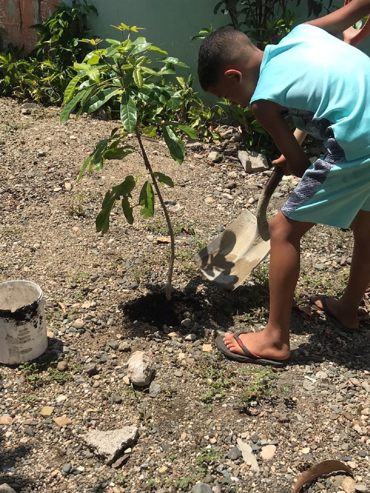  imagen El director de la Regional 10 Ronald Santana, particip&oacute; del Panel Did&aacute;ctico Virtual Coronavirus en RD 