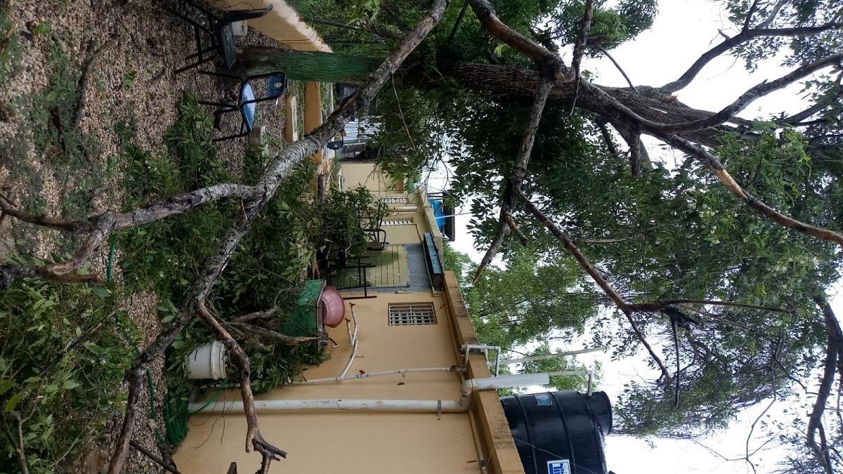  imagen Brigadas del Ministerio de Educaci&oacute;n trabajando 