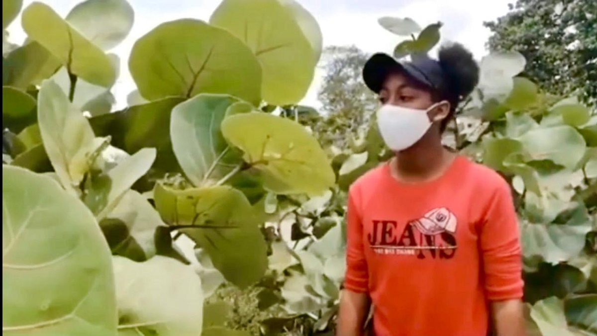  imagen &nbsp;V&iacute;ctor Minaya, estudiante del colegio Nuestra Se&ntilde;ora del Rosario de F&aacute;tima, del Distrito 10-03 