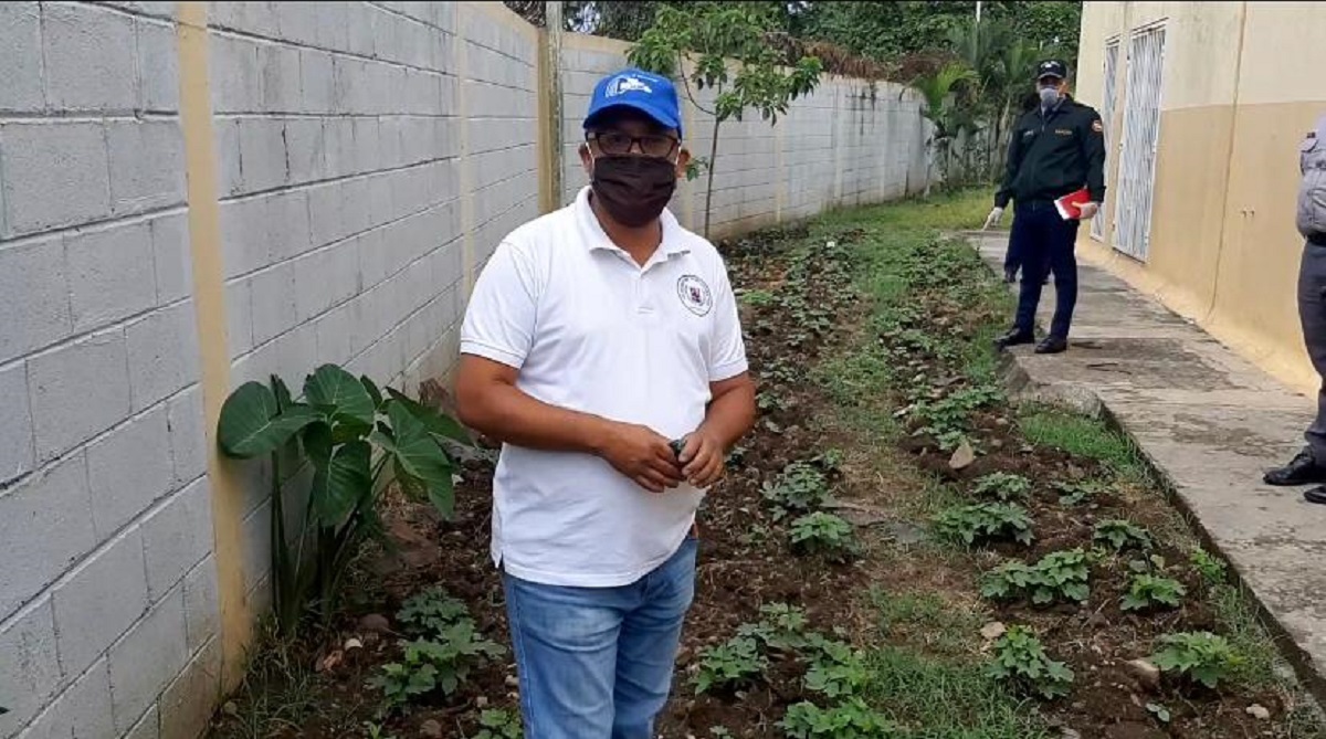  imagen Dando seguimiento a este proyecto de huerto escolar, personal del MINERD se traslad&oacute; nueva vez la comunidad de Ca&ntilde;o Grande, en Bonao, para visitar el Polit&eacute;cnico Profesor Pedro Antonio Fr&iacute;as y ver c&oacute;mo marchaba la siembra del profesor Leonardo y parte del personal.
&nbsp; 