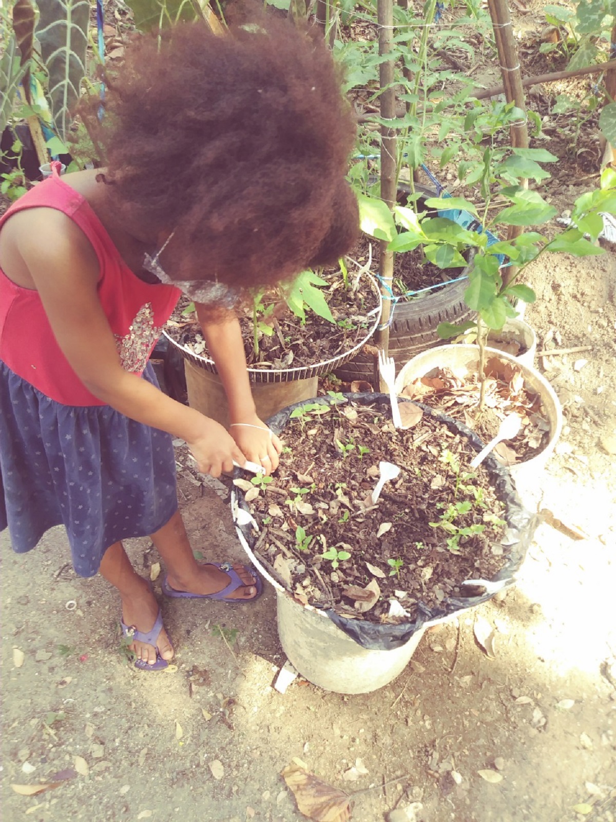  imagen La estudiante del nivel Inicial, Cristal Ogando, junto a su padre, Antonio Ogando, se uni&oacute; a la celebraci&oacute;n de la Semana del &Aacute;rbol, para impactar de forma positiva a la naturaleza. 