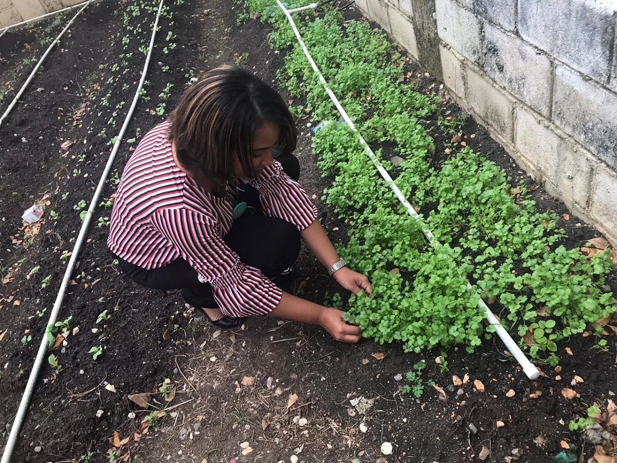  imagen Anny Elo&iacute;sa Mart&iacute;nez 