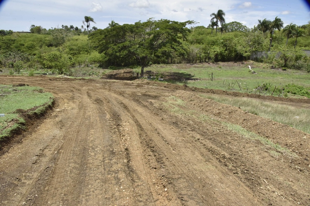  imagen Genys Santana, abogado t&eacute;cnico del Gabinete Ministerial 