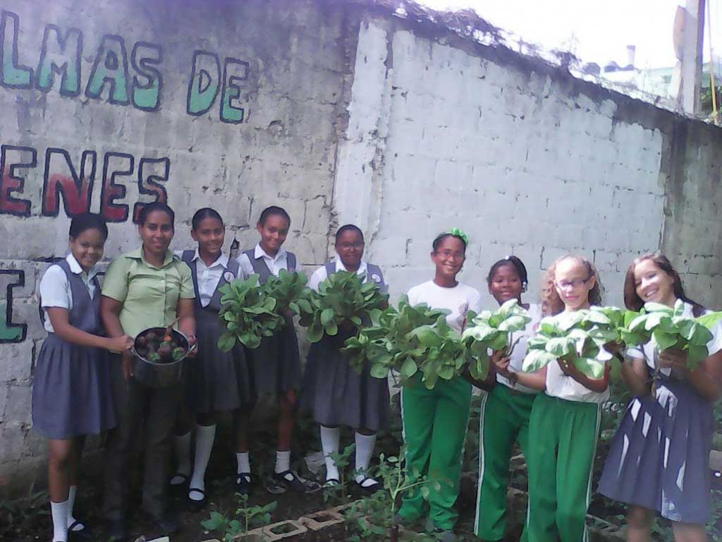  imagen El Programa de Huertos Escolares cosecha buenos frutos en San Pedro de Macorís 