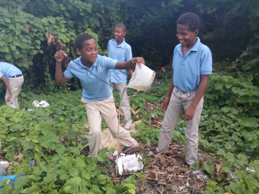  imagen Estudiantes y personal de Educación eliminan más de 800 mil criaderos de mosquitos 