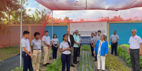  imagen Huertos escolares&nbsp; 