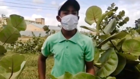  imagen &nbsp;V&iacute;ctor Minaya, estudiante del colegio Nuestra Se&ntilde;ora del Rosario de F&aacute;tima, del Distrito 10-03 
