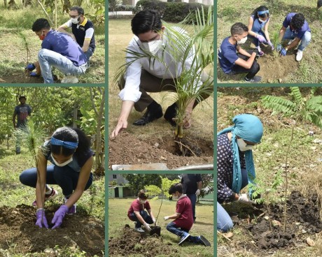  imagen Las actividades de siembra y protecci&oacute;n de las plantas se realizaron en coordinaci&oacute;n con el Ministerio de Medio Ambiente y la Unidad T&eacute;cnica Ejecutora de los Proyectos de Desarrollo Agroforestal. 