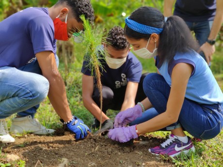  imagen Los educandos Anthony Cruz, Iv&aacute;n Goris y Amalia Hidalgo sembraron varias plantas en la zona boscosa del Liceo Cient&iacute;fico 