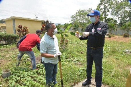  imagen Personal del MINERD trabaja en huertos escolares 